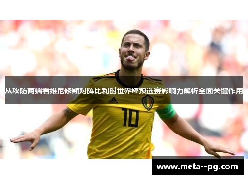 从攻防两端看维尼修斯对阵比利时世界杯预选赛影响力解析全面关键作用
