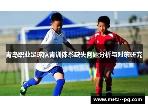 青岛职业足球队青训体系缺失问题分析与对策研究 青岛职业足球队青训体系缺失问题分析与对策研究