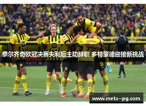 泰尔齐奇欧冠决赛失利后主动辞职 多特蒙德迎接新挑战 泰尔齐奇欧冠决赛失利后主动辞职 多特蒙德迎接新挑战